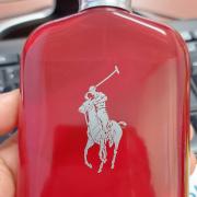 polo red eau de parfum fragrantica