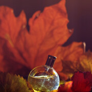 eau de merveilles fragrantica