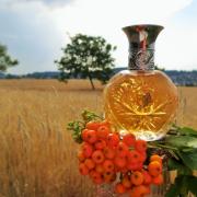 safari ralph lauren fragrantica