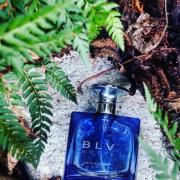 Bvlgari Blv Notte Perfume Oil IMPRESSION - 10ml Roller Bottle – PERFUME  STUDIO