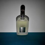 tom ford grey vetiver edp fragrantica