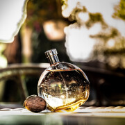 eau de merveilles fragrantica