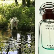 hermes jardin sur le nil fragrantica