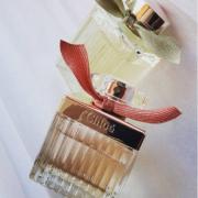 chloe roses de chloe fragrantica