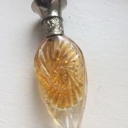 safari ralph lauren fragrantica