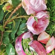 bvlgari omnia pink sapphire resenha