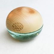 Dkny be delicious discount coconuts about summer