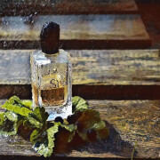 si perfume for her