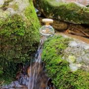 Tous Agua de colonia para mujer SweetCare Venezuela