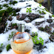 eau de merveilles fragrantica