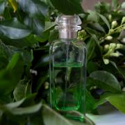 hermès un jardin sur le toit eau de toilette