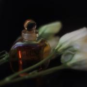 dior dune fragrantica